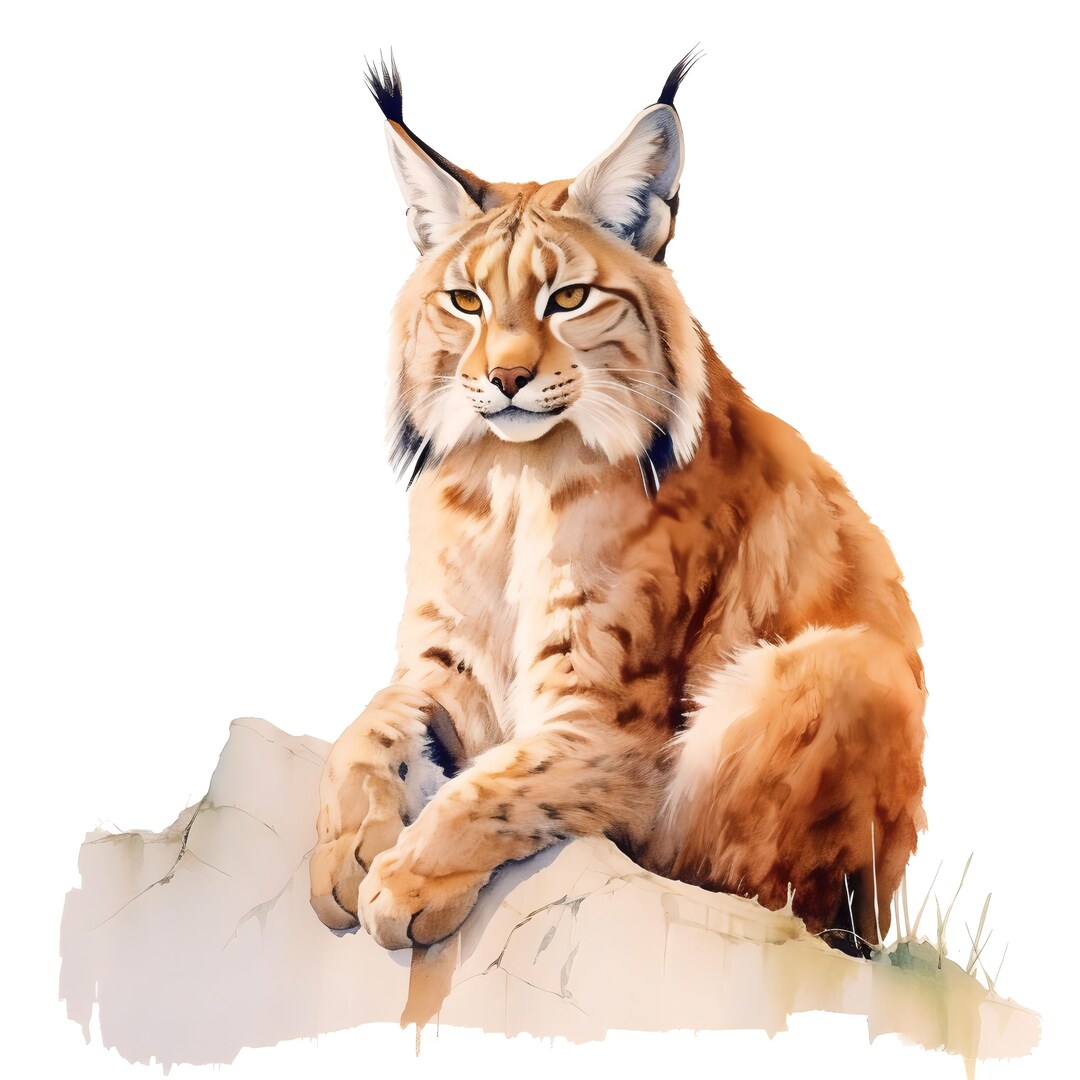 10x Lynx Sticker Set, 10 Pieces, Watercolor Car Stickers, Wildcat ...