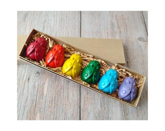 May include: A set of six ladybug-shaped crayons in a cardboard box. The crayons are red, orange, yellow, green, blue, and purple. The box is filled with shredded paper for cushioning. The crayons are a fun and creative art supply.