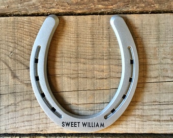 Gift for horse lover, customized horseshoe, couples sign, good luck, Horse Stall Sign, personalized, farmhouse decor, barn door