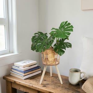 May include: A woven rattan planter with a monstera plant, set on a three-legged wooden stand. The planter has a light brown and beige color scheme. The plant has large, green, split leaves. A stack of books and a mug are nearby.