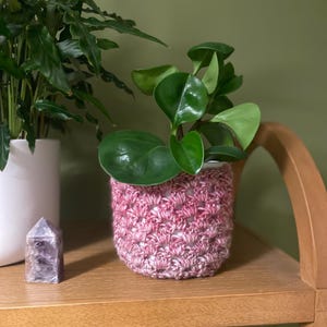 Handmade Crochet Plant Pot Cosy | 12cm Plant Pot Cover | Crochet Plant Decor | Houseplant Gift | Plant Lover Gift