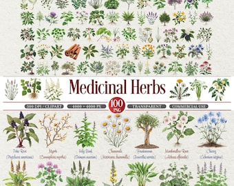 Medicinal Herbs Botanical Clipart Bundle PNG 300 DPI