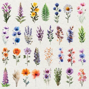 May include: Watercolor illustrations of various flowers and foliage, including daisies, poppies, lavender, and ferns. The floral arrangements feature a range of colors, such as purple, yellow, orange, and blue, against a neutral background.