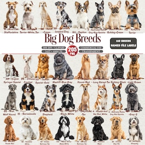 May include: A digital graphic featuring 25 dog breeds, each labeled with its breed name. The dogs are in various poses, with a variety of colors and coat types. The image includes the text "Big Dog Breeds" and "110 Breeds Named File Labels".