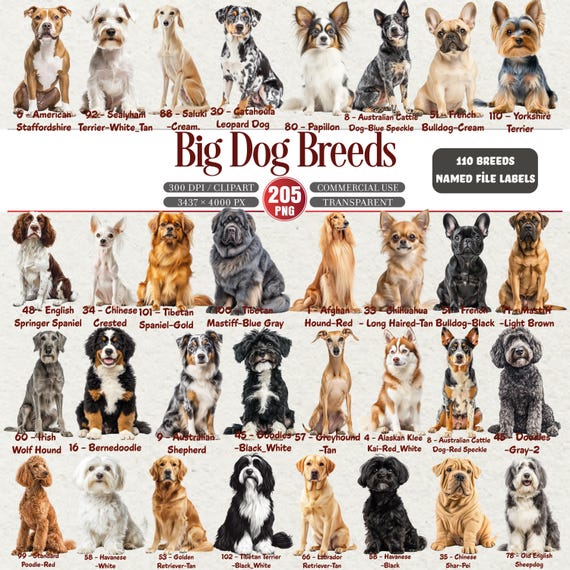 Big Dog Breeds Clipart Bundle Labeled Dog PNG Set