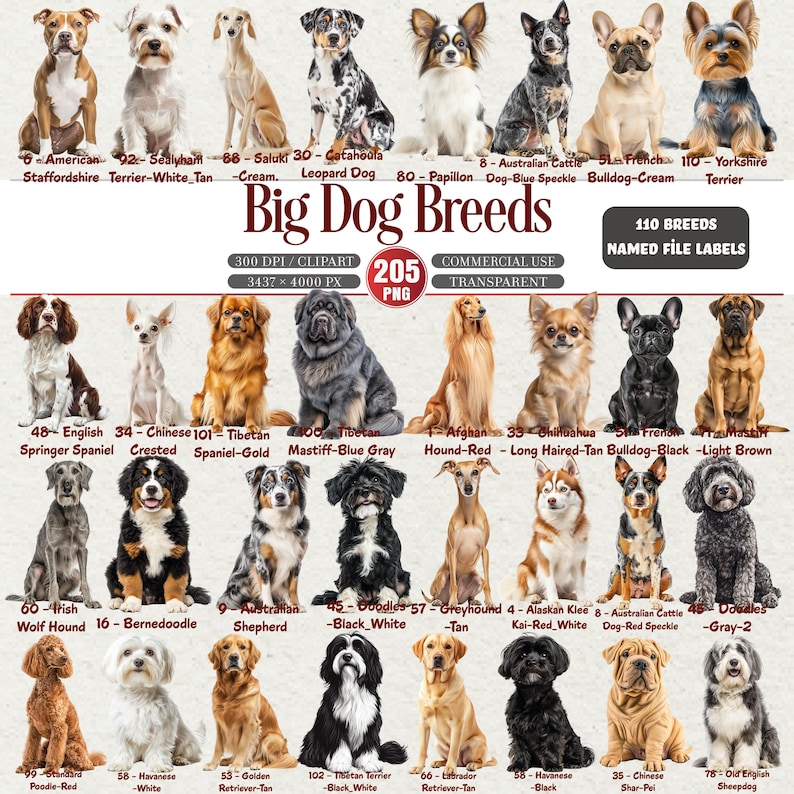 May include: A digital graphic featuring 25 dog breeds, each labeled with its breed name. The dogs are in various poses, with a variety of colors and coat types. The image includes the text "Big Dog Breeds" and "110 Breeds Named File Labels".