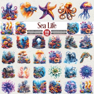 May include: A set of watercolour illustrations depicting marine life, including an octopus, fish, starfish, jellyfish, seahorses, and coral reefs. The words "Sea Life" are displayed, alongside information about the image resolution and file type. The images are vibrant and colourful.