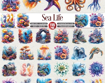 Sea Life Clipart Bundle transparent PNG Ozean Tiere