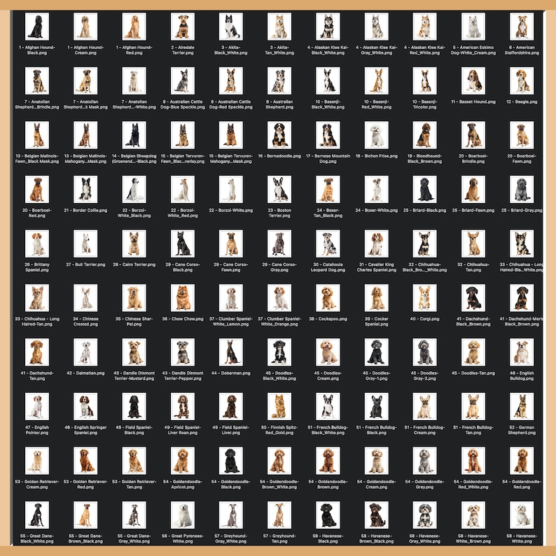 May include: A grid of 60 dog breed images, each in a small white rectangle against a tan background. Breeds include Afghan Hound, Alaskan Malamute, Australian Cattle Dog, Beagle, Border Collie, and more. Each image is labeled with the breed name.