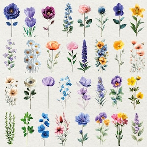 May include: Watercolor illustration of various flowers in shades of blue, purple, pink, yellow, and orange. The image features a collection of individual flower stems, including roses, tulips, and daisies, with green leaves.
