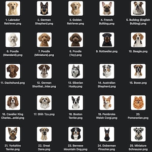 May include: A grid of 25 dog breed illustrations, each in a square frame. Breeds include Labrador Retriever, German Shepherd, Golden Retriever, French Bulldog, English Bulldog, Poodle, Rottweiler, Beagle, Dachshund, Siberian Husky, Boxer, and more.