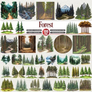 Paquete de imágenes PNG de bosques para paisajes naturales