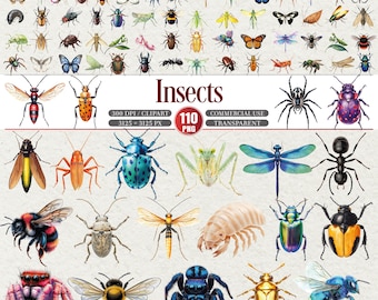 Pacchetto di clipart di insetti 110 illustrazioni botaniche PNG