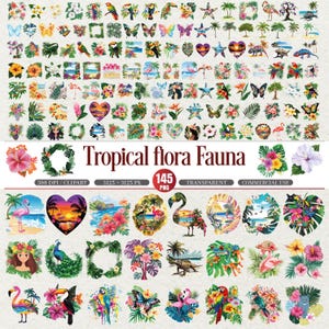 Puede incluir: Una colección de 145 imágenes prediseñadas PNG de flora y fauna tropicales. Las imágenes incluyen ilustraciones coloridas de flores, pájaros, mariposas, flamencos y escenas tropicales. Se muestra el texto "Tropical flora Fauna".