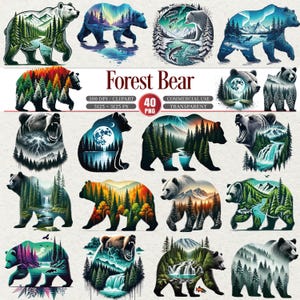 Forest Bear Clipart Bundle 40 PNG Wildlife Nature Art