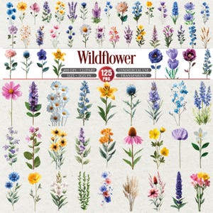 Paquete de imágenes prediseñadas de flores silvestres, conjunto de PNG florales botánicos