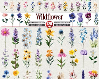 May include: A collection of watercolor wildflower illustrations in various colors, including pink, purple, yellow, and blue. The image includes the text "Wildflower" and details about the image's resolution and commercial use.