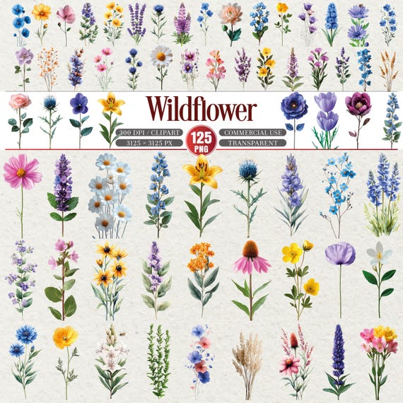 Wildflower Clipart Bundle Botanical Floral PNG Set