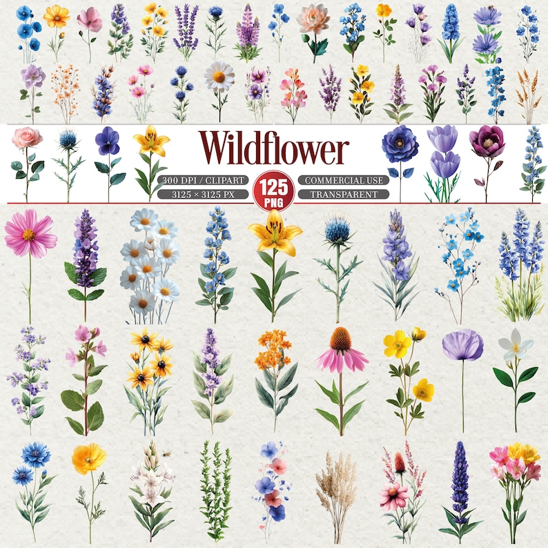 May include: A collection of watercolor wildflower illustrations in various colors, including pink, purple, yellow, and blue. The image includes the text "Wildflower" and details about the image's resolution and commercial use.