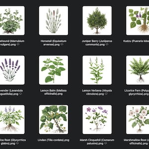 May include: A collection of botanical illustrations featuring various herbs and plants, including lavender, lemon balm, and licorice fern. Each plant is depicted with its roots and labeled with its common and scientific names, set against a white background.