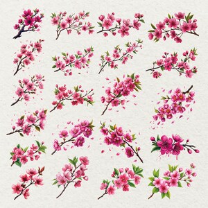 Cherry Blossom Clipart Bundle 180 PNG Transparent Commercial Use - Etsy