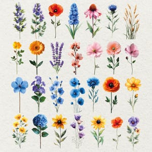 May include: A collection of watercolor-style floral illustrations. The image features a variety of flowers in shades of blue, orange, yellow, pink, and purple. Each flower is depicted with detailed petals and green stems, set against a neutral background.