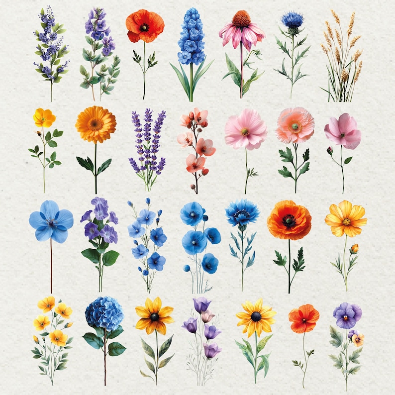 May include: A collection of watercolor-style floral illustrations. The image features a variety of flowers in shades of blue, orange, yellow, pink, and purple. Each flower is depicted with detailed petals and green stems, set against a neutral background.