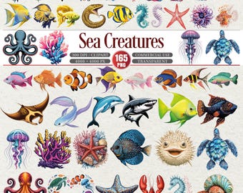 Meerestiere Clipart Bundle 165 PNG Meerestiere Art