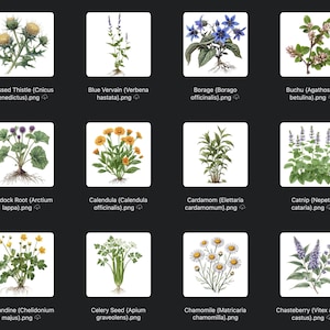 May include: A collection of botanical illustrations featuring various herbs and plants. The images showcase detailed drawings of Blessed Thistle, Blue Vervain, Borage, Buchu, Burdock Root, Calendula, Cardamom, Catnip, Celandine, Celery Seed, Chamomile, and Chasteberry.