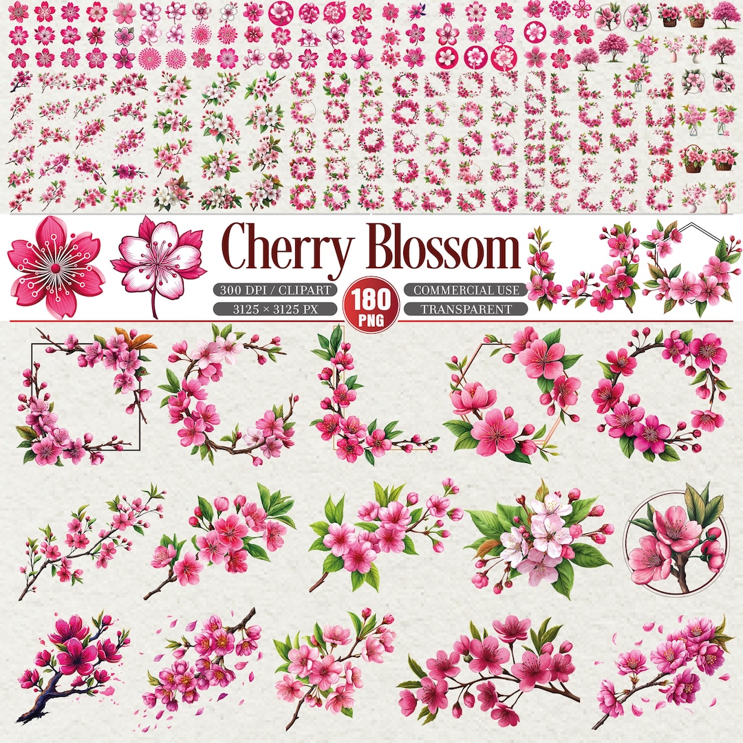 Cherry Blossom Clipart Bundle 180 PNG Transparent Commercial Use - Etsy