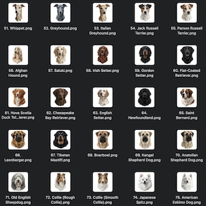 May include: A collection of dog breed portraits, each in a square frame. Breeds include Whippet, Greyhound, Italian Greyhound, Jack Russell Terrier, Parson Russell Terrier, Afghan Hound, Saluki, Irish Setter, Gordon Setter, and Flat-Coated Retriever.