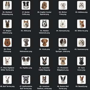 May include: A grid of dog breed illustrations, each in a square frame. Breeds include Shetland Sheepdog, Border Collie, English Cocker Spaniel, Bichon Frise, and Maltese. Other breeds are Belgian Malinois, Akita, Alaskan Malamute, Samoyed, and Shiba Inu.