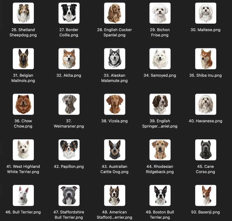 May include: A grid of dog breed illustrations, each in a square frame. Breeds include Shetland Sheepdog, Border Collie, English Cocker Spaniel, Bichon Frise, and Maltese. Other breeds are Belgian Malinois, Akita, Alaskan Malamute, Samoyed, and Shiba Inu.