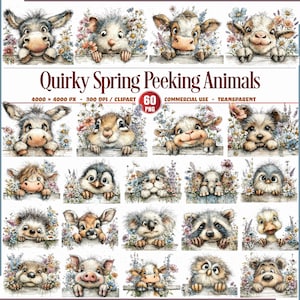 May include: A set of watercolour illustrations of animals peeking over a wooden fence, adorned with colourful flowers. The text "Quirky Spring Peeking Animals" is displayed above the images. The images are labelled as 4000 x 4000 PX, 300 DPI/CLIPART, 60 PNG, and COMMERCIAL USE - TRANSPARENT.