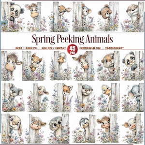 May include: A collection of watercolour illustrations featuring animals peeking from behind a white picket fence, with wildflowers. The text "Spring Peeking Animals" is displayed above the images. Animals include a panda, deer, bear, and others.