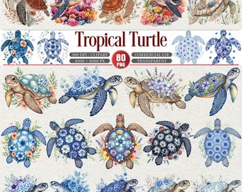 Tropische schildpad clipartbundel png zeeschildpad kunst