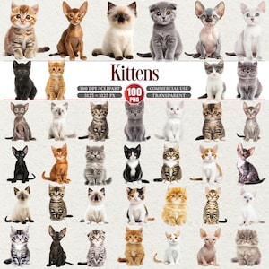 Puede incluir: Una colección de gatitos de varios colores y razas, incluyendo tabby, siamés y Scottish Fold. La imagen incluye la palabra "Kittens" en negrita, junto con detalles sobre la resolución y los derechos de uso.