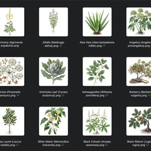 May include: A collection of botanical illustrations of various plants, including Agrimony, Alfalfa, Aloe Vera, Angelica, Anise, Artichoke Leaf, Ashwagandha, Barberry, Bay Laurel, Bitter Melon, Black Cohosh, and Black Walnut. Each plant is labeled with its common and scientific name.