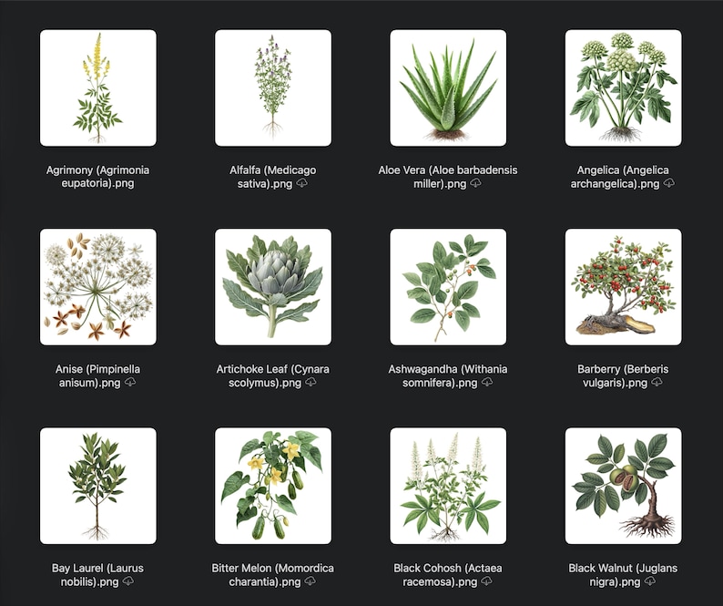 May include: A collection of botanical illustrations of various plants, including Agrimony, Alfalfa, Aloe Vera, Angelica, Anise, Artichoke Leaf, Ashwagandha, Barberry, Bay Laurel, Bitter Melon, Black Cohosh, and Black Walnut. Each plant is labeled with its common and scientific name.
