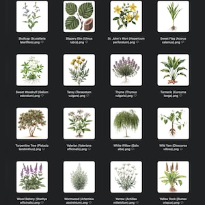 May include: A collection of botanical illustrations of various herbs and plants, including Skullcap, Slippery Elm, St. John's Wort, and Sweet Flag. Each plant is depicted with detailed drawings, showcasing their leaves, flowers, and roots. The images are set against a dark background.