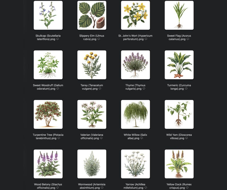 May include: A collection of botanical illustrations of various herbs and plants, including Skullcap, Slippery Elm, St. John's Wort, and Sweet Flag. Each plant is depicted with detailed drawings, showcasing their leaves, flowers, and roots. The images are set against a dark background.