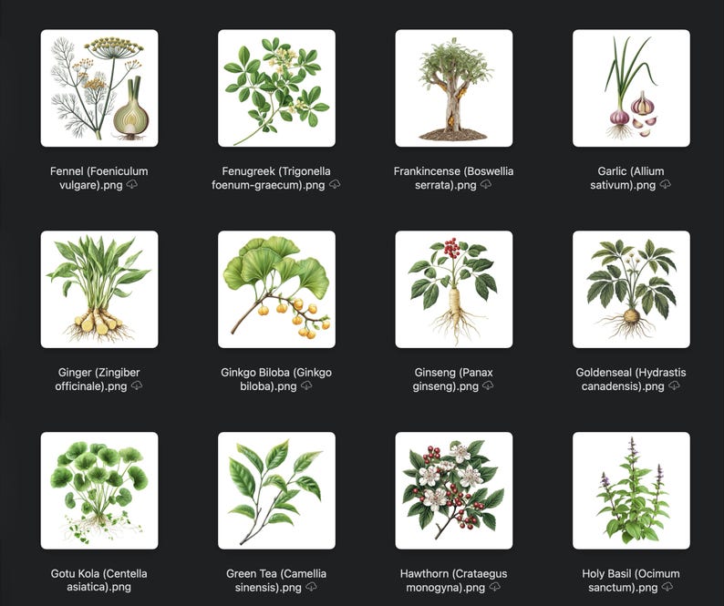 May include: A collection of watercolor illustrations of various herbs and plants, including fennel, fenugreek, frankincense, garlic, ginger, ginkgo biloba, ginseng, goldenseal, gotu kola, green tea, hawthorn, and holy basil. Each image is labeled with the plant's name.