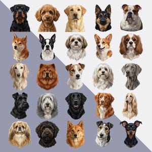 May include: A collection of 24 dog portraits, each showcasing a different breed. The dogs are depicted in a realistic style, with a variety of colors and fur textures. Breeds include a Rottweiler, Labrador, Bulldog, and more.