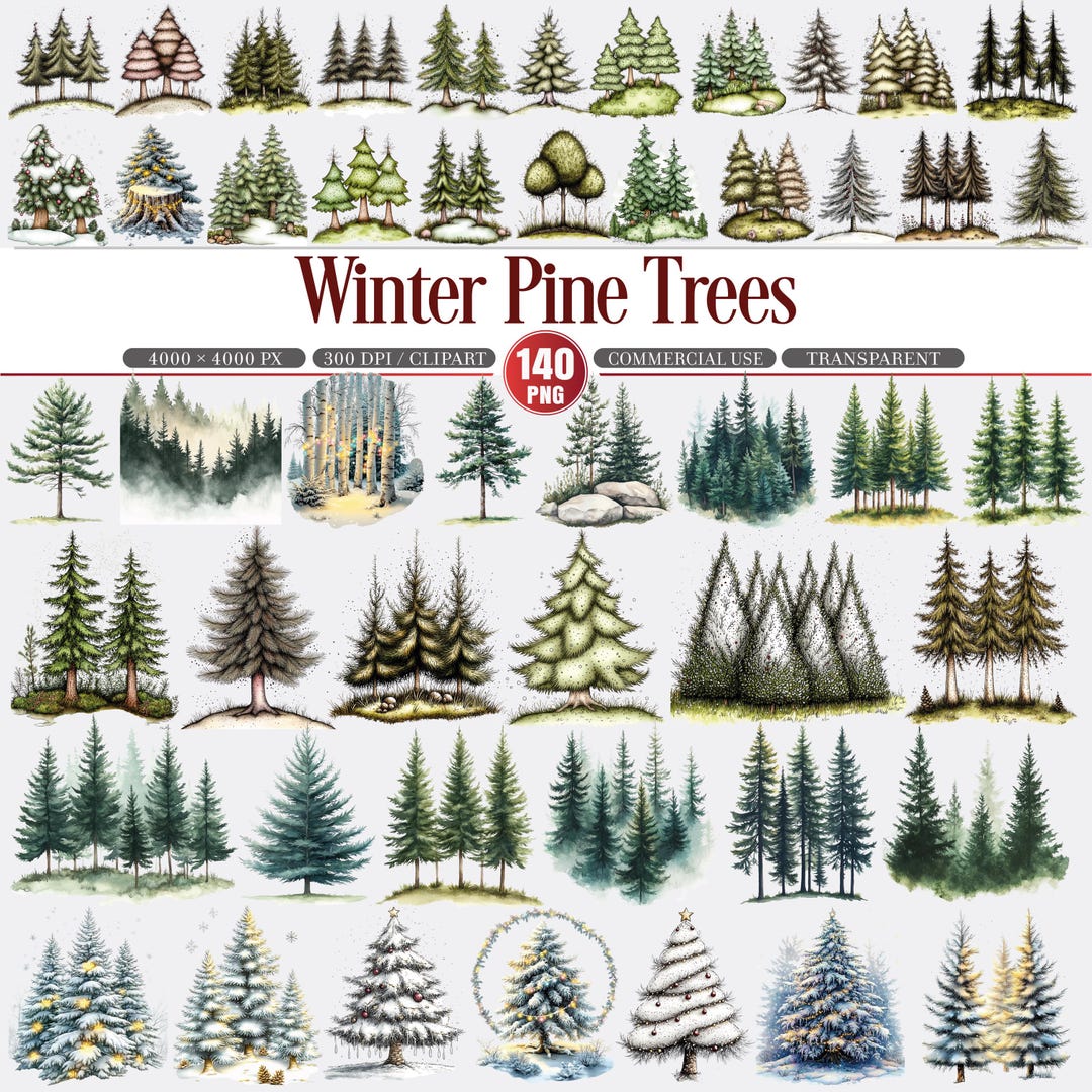 Winter Pine Trees Clipart Snowy Forest Evergreen PNG - Etsy