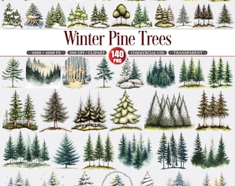 Clipart winterpijnbomen besneeuwd bos groenblijvend, png