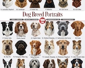 Dog Breed Portraits Clipart Realistic Dog Illustration PNG Set
