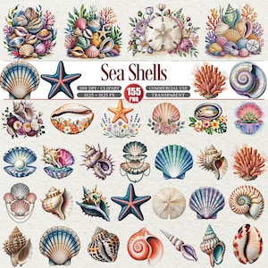 May include: Watercolor illustrations of various seashells, starfish, and coral in a variety of shapes, sizes, and colors. The text "Sea Shells" is displayed in a decorative font, along with other text.