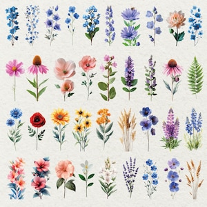 May include: Watercolor illustration of various flowers, including blue delphiniums, purple lavender, and orange and yellow sunflowers. The image features a variety of floral arrangements, with detailed petals and green stems. The flowers are arranged in rows, creating a botanical theme.