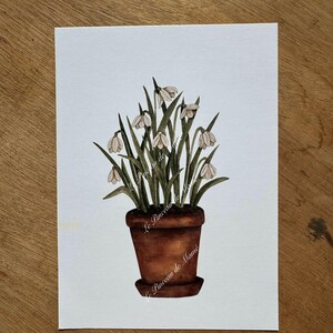 Può includere: Dipinto ad acquerello di fiori di bucaneve in un vaso di terracotta. Il vaso poggia su un piattino abbinato. I fiori hanno petali bianchi e steli verdi. L'opera è su carta bianca, con il testo "Le Pinceau de Mamé".
