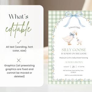 May include: A baby shower invitation card featuring a green gingham background, a floral arch, and a watercolor illustration of two geese with blue bows. The text reads: A Sweet Little SILLY GOOSE IS ALMOST ON THE LOOSE, honoring AURORA BROWN.